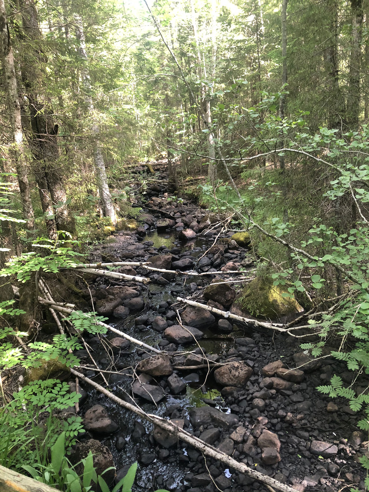 Vattendrag i skogen efter Bergslagsleden
